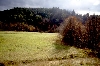 La valle di Cascina granbego