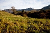 Il monte Avzè visto da basso